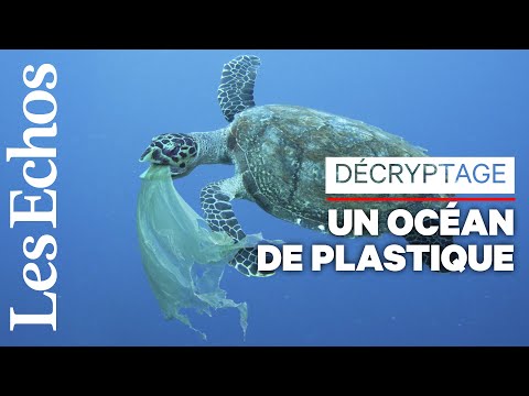 Vidéo: Quelles sont les 4 principales menaces pour la vie océanique ?