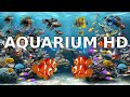 Aquarium music  aquarium sounds and background relaxing music  deep sleep  3h full screensaver