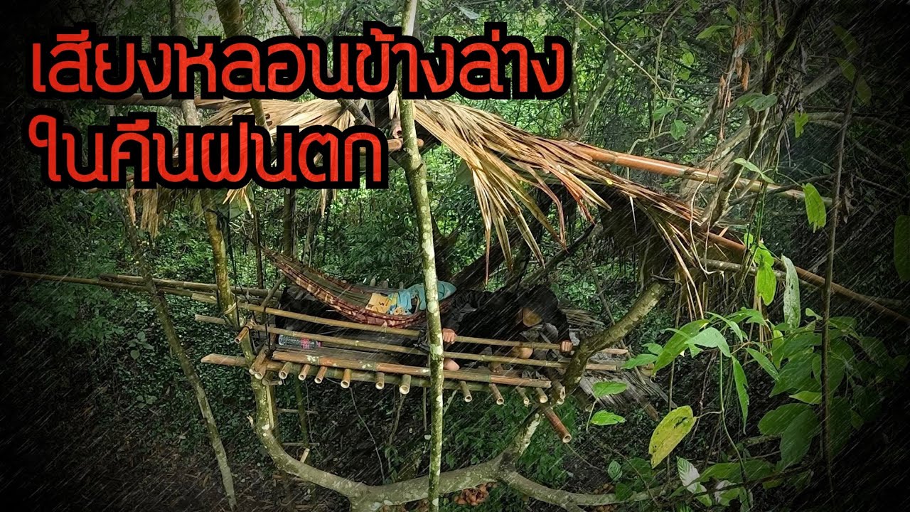 นอนบ้านต้นไม้ในคืนฝนตกหนัก ตกดึกมีเสียงร้องน่ากลัวอยู่ข้างล่าง เจอแบบนี้ห้ามทัก