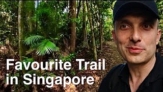 Download lagu 🇸🇬 GO OUTSIDE: Favourite TRAIL RUNNING Curcuit  Singapore | Trail Running Singapore #MentalHealth