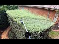 Satisfying Hedge Trimming: Creating the Perfect Line (POV)