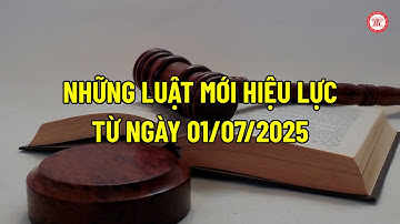 Những Luật mới hiệu lực từ ngày 01/07/2025 | THƯ VIỆN PHÁP LUẬT