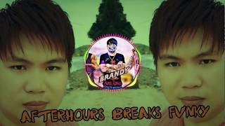 AFTERHOURS BREAKS FVNKY 2018 - BRANDYSTIFOX™