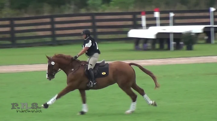Darrah Alexander & Kilgarron Quality American Even...