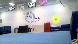 VID 20110109 135809