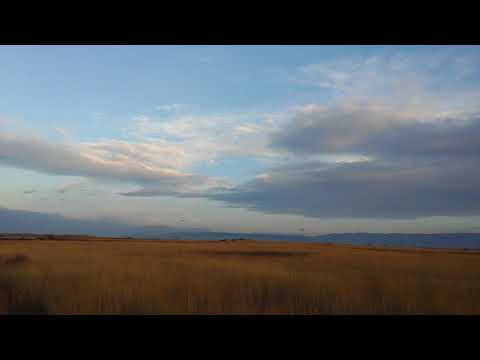 დევნა კურდღელზე ,,გორდა“