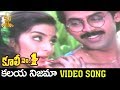 Kalaya nijama song  coolie no 1 telugu movie  venkatesh  tabu  suresh productions