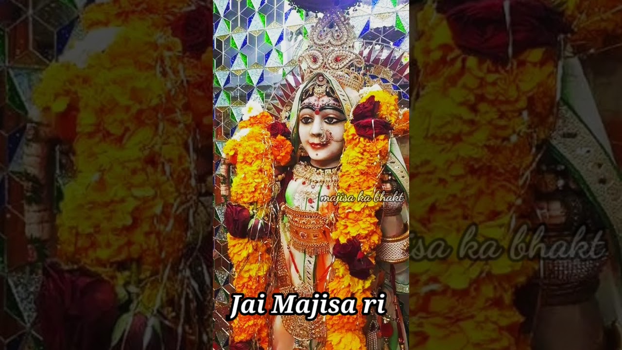 new majisa special WhatsApp status video/majisa status 2021