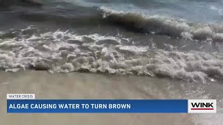 Why is the water brown at Seagate Beach? What to know.