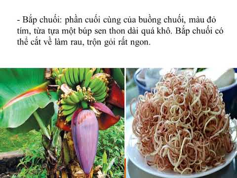 Lớp 4-N8T5- TLV Tả cây cối