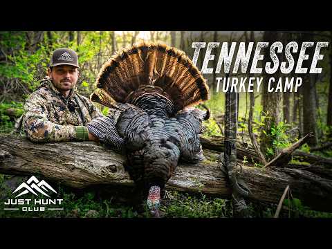 Tennessee Turkey Hunting Opening Day | 3 Gobblers Come Running!