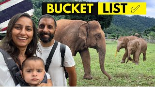 Visiting the Friendly GIANTS of Chiang Mai | Elephant Nature Park 🇹🇭