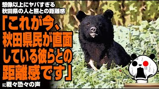 想像以上にヤバすぎる秋田県の人と熊との距離感「これが今、秋田県民が直面している彼らとの距離感です」が話題