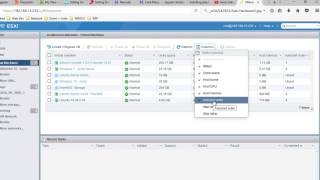 How to automatically start of virtual machines in VMWare ESXi through Web UI