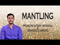 Mantling Meaning Pronunciation Word World Audio Video Dictionary Mantling Meaning Pronunciation Word World Audio Video Dictionary