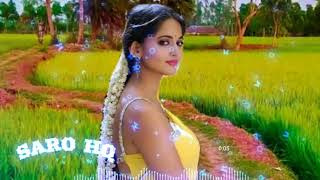 ஐயாரெட்டு சோறு வடிச்சு - Tamil Echo Crystal surrounded songs-sarohq