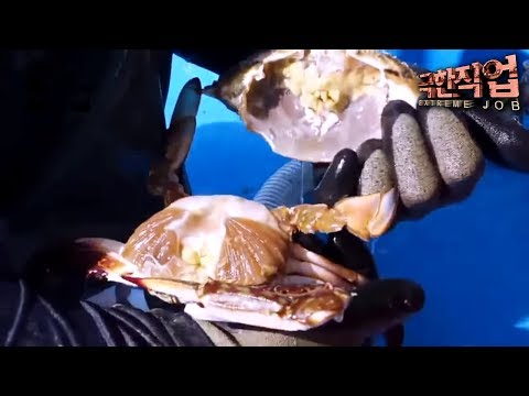 극한직업 - Extreme JOB_서해 바다의 진미- 전어와 꽃게_#003