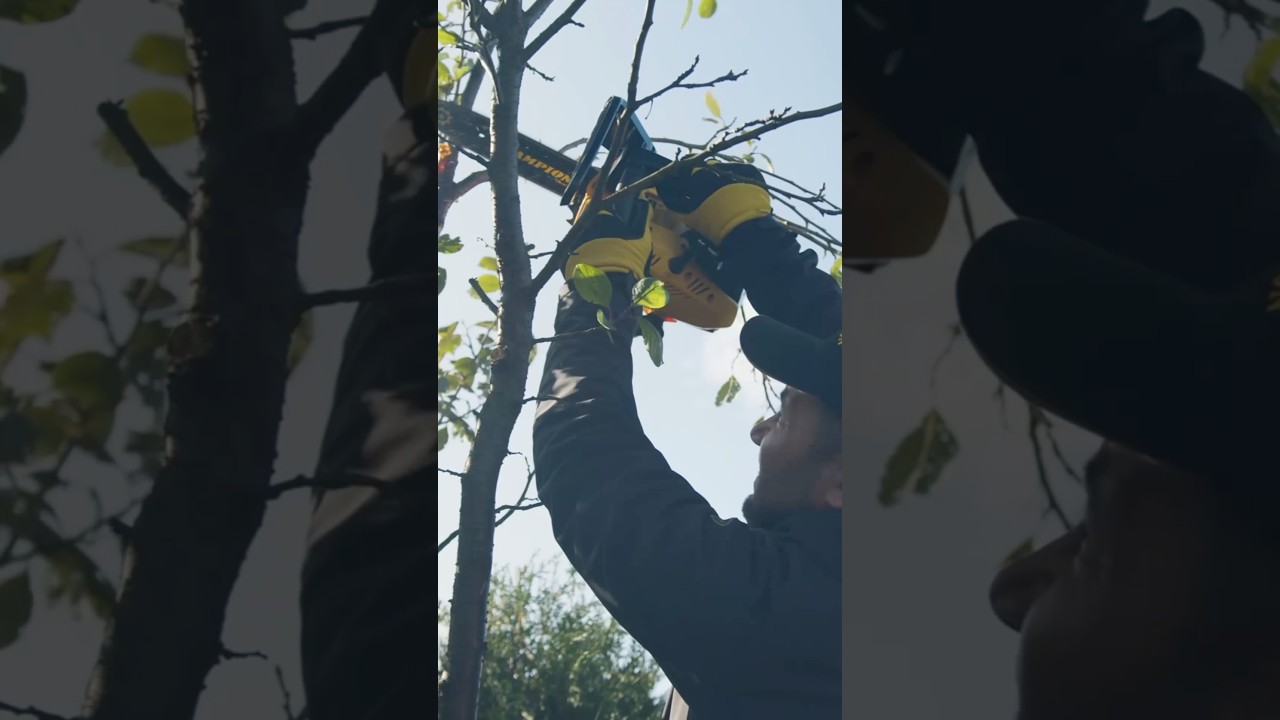 🍂 Осень — время навести порядок на участке и подготовить деревья к зиме 