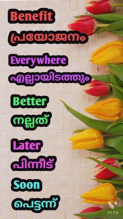 5 English Malayalam Words For Daily Life Conversation words English 5-english-malayalam-words-for-daily-life-conversation-words-english