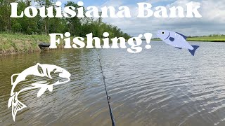 🐟 Bank Fishing In Louisiana! 🎣 🌞 The One That Gotten Away 🫤
