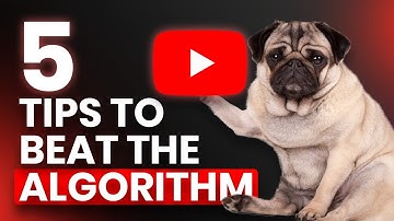 5 Tips to get more views on YouTube in 2022 | YouTube Video Ideas