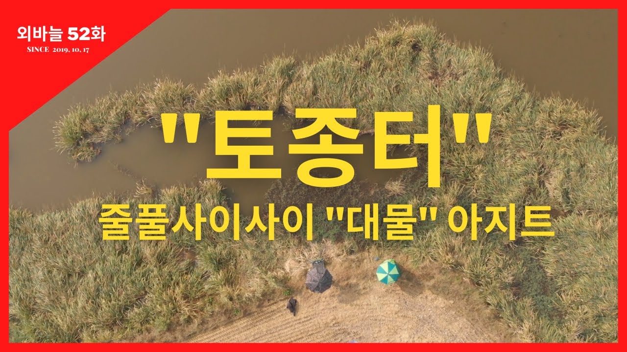 외바늘 [52화] 타이밍 / 멋진 줄풀포인트 / 대물포인트