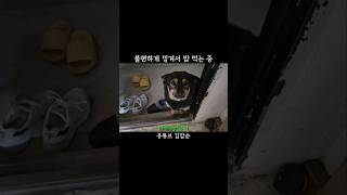 착순이 김깜순 #shorts