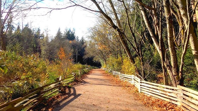 Pacific Spirit Regional Park