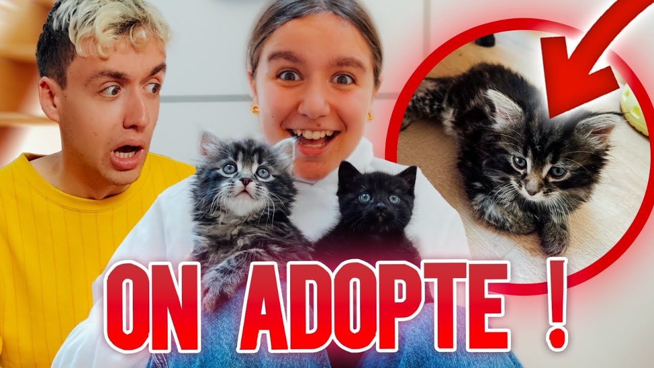 ON ADOPTE 2 CHATONS ! SURPRISE POUR LILY-ROSE !