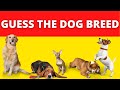 GUESS THE DOG BREED || DOG BREED CHALLENGE || DOG BREED QUIZ