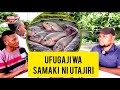 UFUGAJI WA SAMAKI UMENITAJIRISHA,NAMILIKI KAMPUNI,KIJANA ALIYEKATAA KUAJIRIWA AAMUA KUFUGA SAMAKI