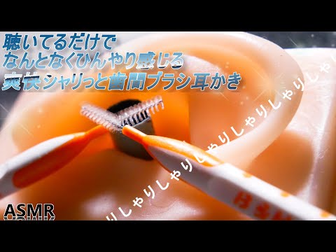 【ASMR】シャリシャリ爽快!?太め歯間ブラシ耳かき♡ / The sound of ear cleaning with a thick interdental brush♡