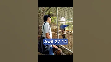 Awit 27 14 
