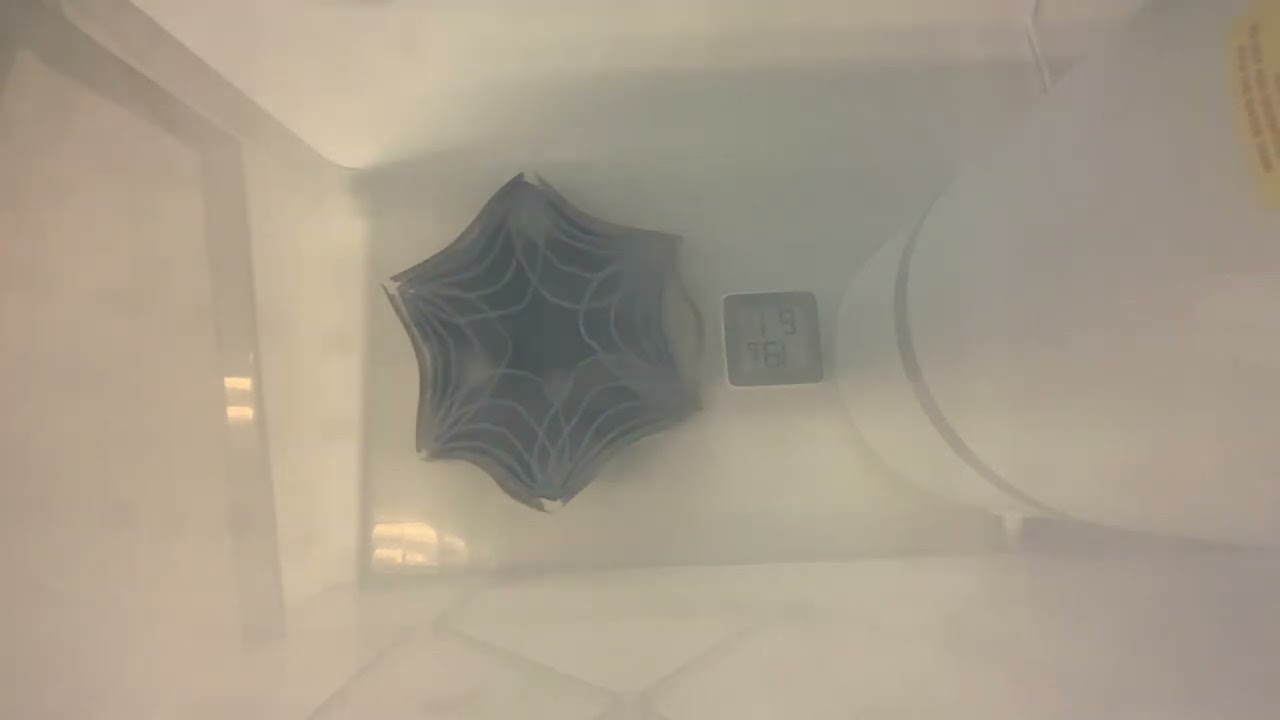 Prototype Interim Review