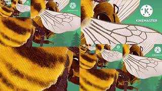 11 copies of my 2nd CTC beez speedrun (extra loud warning!!!)