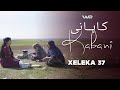 Kabanî Xeleka 37 کابانی خەلەکا ٣٧ Kabanî Xeleka 37 کابانی خەلەکا ٣٧