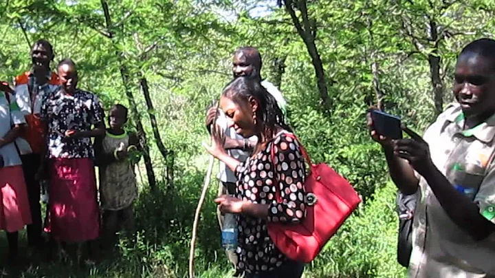 FMNR(Farmer Managed Natural Regeneration ) process
