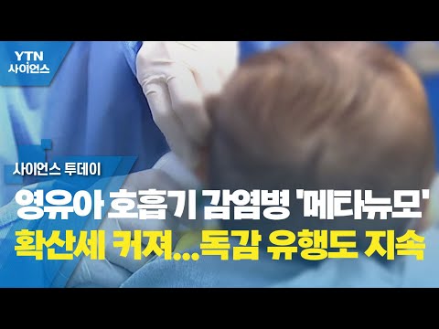 영유아 호흡기 감염병 '메타뉴모' 확산세 커져...독감 유행도 지속 / YTN 사이언스