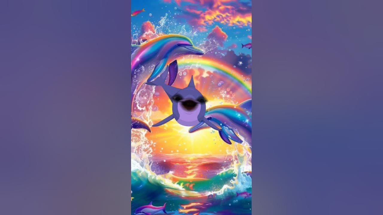 sympathy dolphin #speedsong #music #song