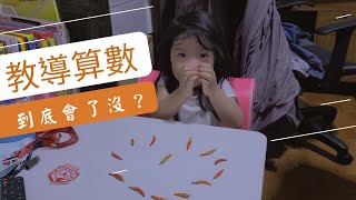 吳謹言萌娃👧開始學算數|到底會了沒？🤯|3歲5天