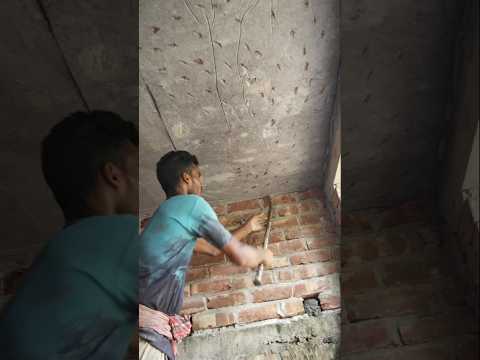 my Delhi blog আজকে আমাদের ঘরে সিল্ক পিলাস টার করা ছি #shortvideo #minivlog #viralvideo #ytshorts