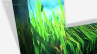 SVT Kunskapskanalen Channel ID 'Grass' - Dallas Sthlm