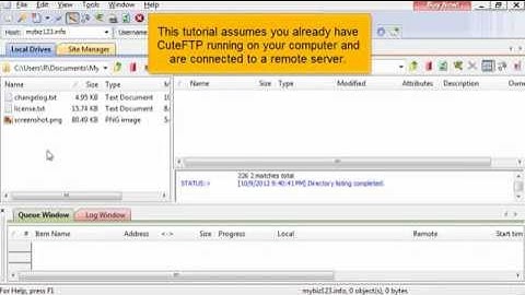 How to Upload Your Files Using CuteFTP (Flipper Host)