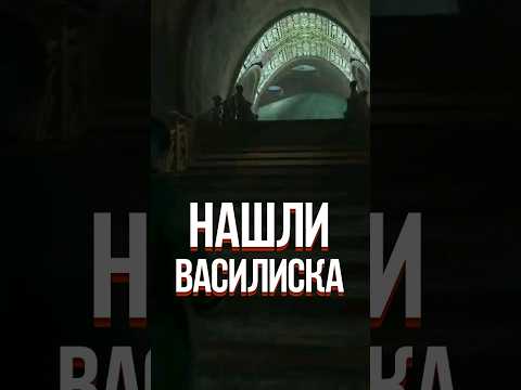 Видео: НАШЛИ ВАСИЛИСКА В HOGWARTS LEGACY (ХОГВАРТС НАСЛЕДИЕ, 2023) #shorts