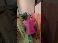 古民家再生⑦洗面台〜トイレ #田舎 #田舎暮らし #diy #自給自足 #自然