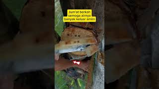 Jumat berkah #shortvideo #asmr