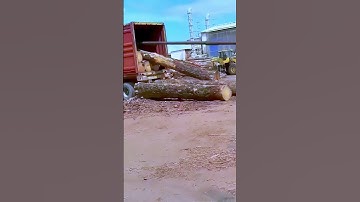 the process of unloading wood from a container; Good machinery can improve work efficiency