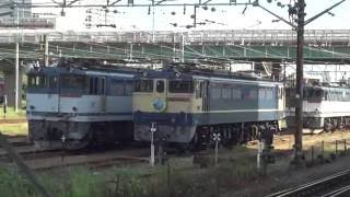 【広島公開HM取り付け初日 2016.09.10】（新）EF65-2139 新鶴見貨物ターミナルにて その1