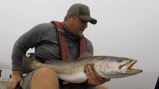 Speckled Trout Fishing - Catching MONSTER Speckled Trout