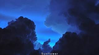 Blue Velvet - Lana del Rey (Subtitulada)